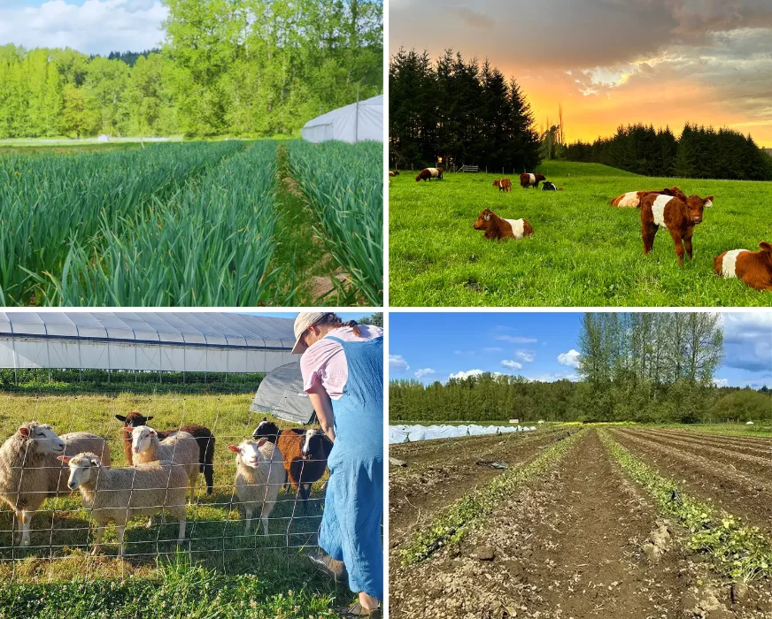 regenerative future intro impact study | Carnation Farms