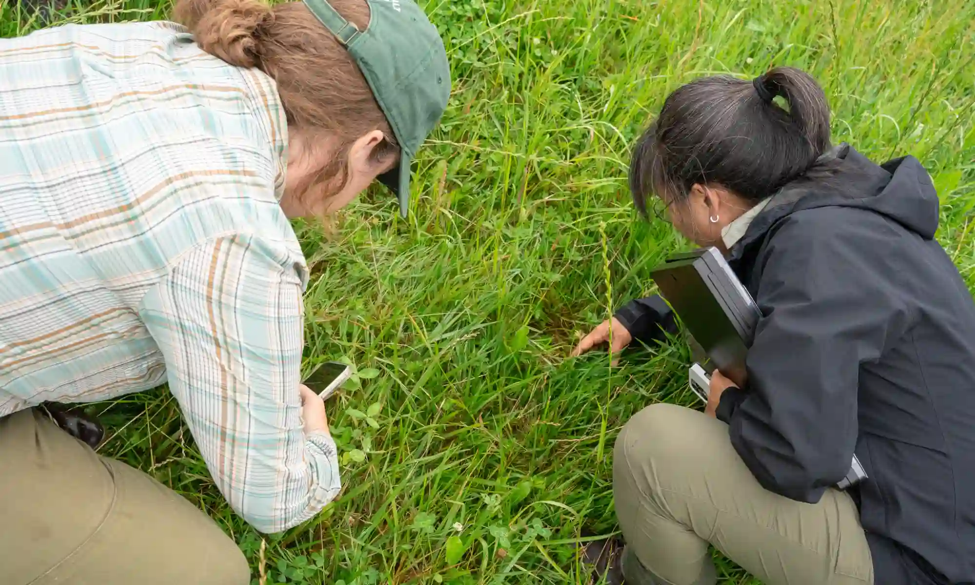 Participants examining pasture plants during a hands-on agricultural workshop