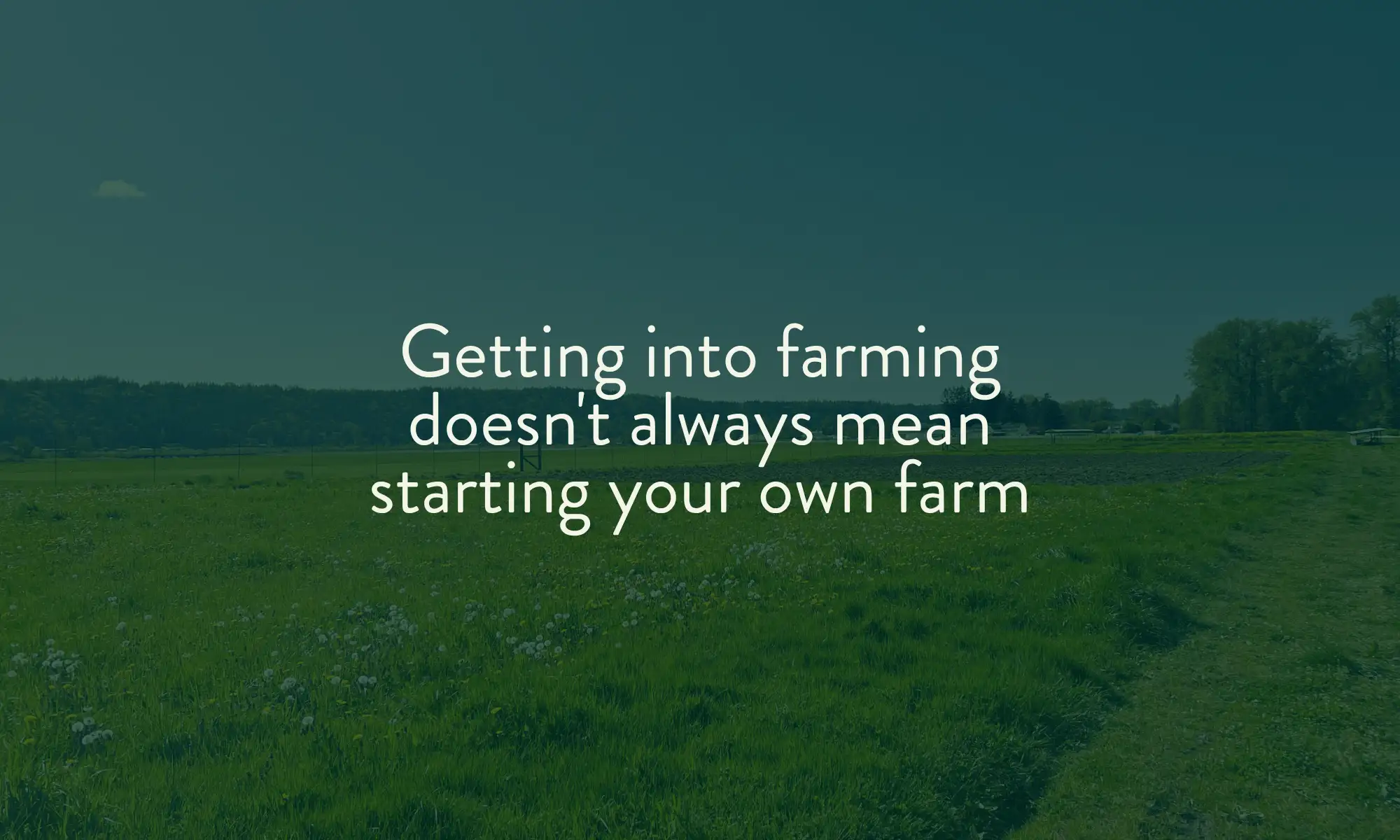 Participants learning hands-on farming skills with the Carnation Farms team