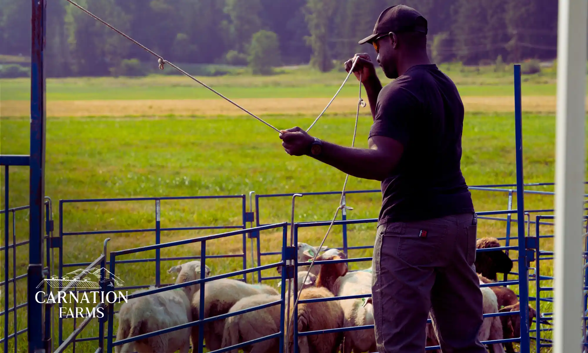 Service to Soil participant gaining hands-on livestock care experience at Carnation Farms